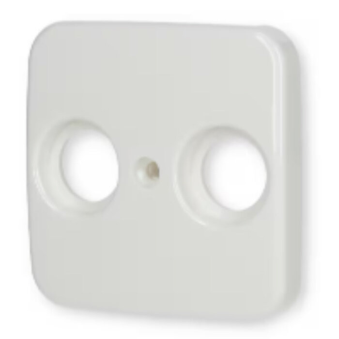 Busch-Jaeger Busch Jaeger centraalplaat CAI alpinwit (hagelwit) 2531-214