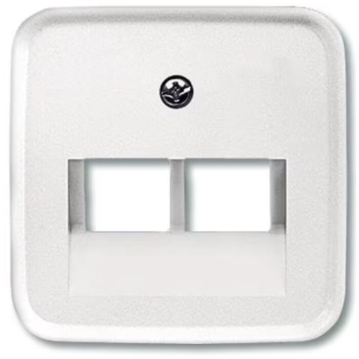 Busch-Jaeger Busch-Jaeger afdekplaat 2xRJ45 / RJ11 Alpinwit (hagelwit) 1803-02-214