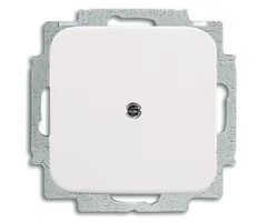 Busch-Jaeger Busch-Jaeger blindplaat alpinwit (hagelwit)