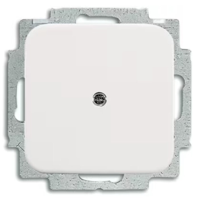 Busch-Jaeger Busch-Jaeger blindplaat alpinwit (hagelwit) 2538-214