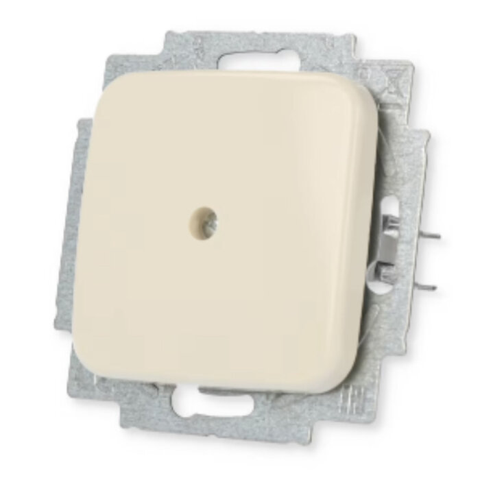 Busch-Jaeger Busch-Jaeger blindplaat alpinwit (hagelwit) 2538-214