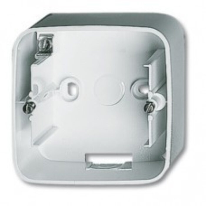 Busch-Jaeger Busch-Jaeger opbouwrand 1V alpinwit (hagelwit) 1701-214