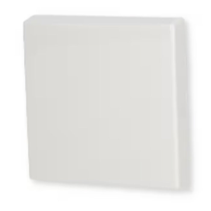 Busch-Jaeger Busch-Jaeger bedieningswip wissel/kruis spatwaterdicht alpinwit (hagelwit) 2106-34