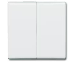 Busch-Jaeger Busch-Jaeger bedieningswip serie/wissel-wissel spatwaterdicht alpinwit (hagelwit) 2105-34