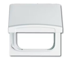 Busch-Jaeger Busch-Jaeger overgangsplaat voor WCD spatwaterdicht alpinwit (hagelwit) 2118 GK-34