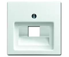 Busch-Jaeger Busch-Jaeger balance 1xRJ45 / RJ11 afdekking alpinwit (hagelwit) 1803-914