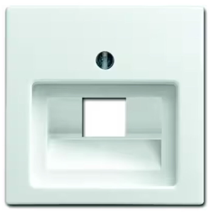 Busch-Jaeger Busch-Jaeger balance 1xRJ45 / RJ11 afdekking alpinwit (hagelwit) 1803-914