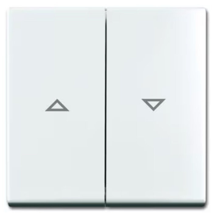 Busch-Jaeger Busch-Jaeger balance bedieningswip rolluikschakelaar alpinwit (hagelwit) 2504-914