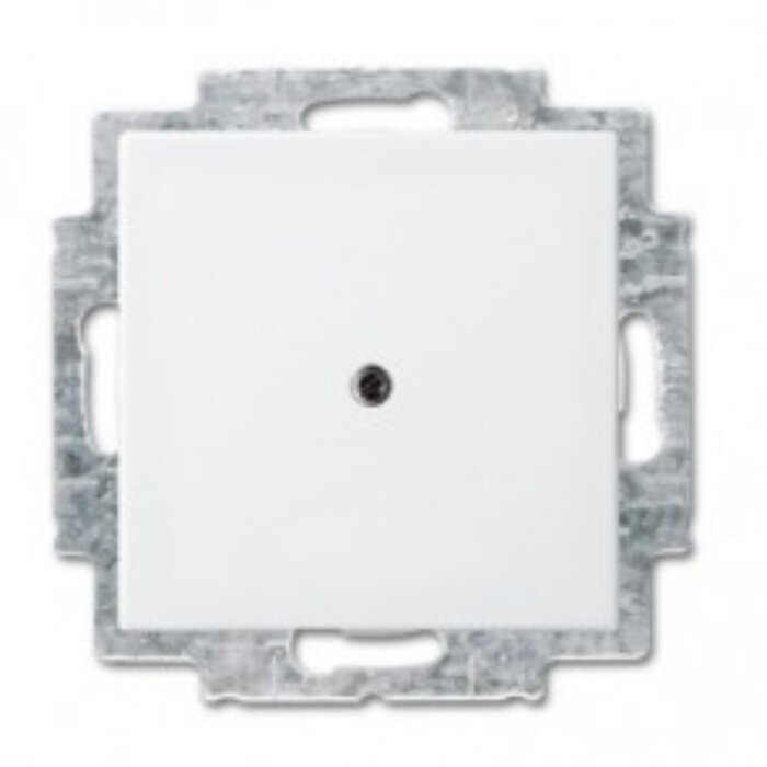 Busch-Jaeger Busch-Jaeger balance blindplaat alpinwit (hagelwit) 2538-914