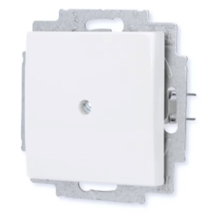 Busch-Jaeger Busch-Jaeger balance blindplaat alpinwit (hagelwit) 2538-914