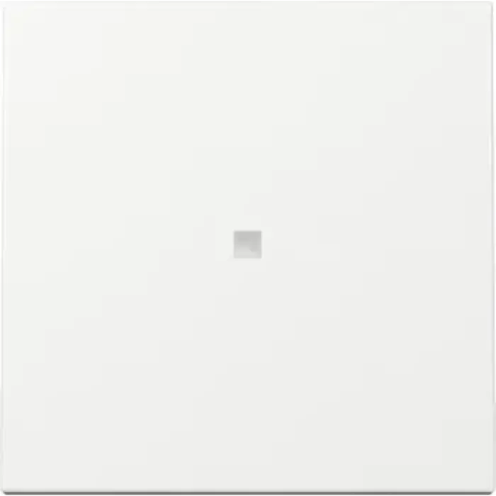 Gira Gira Bedieningswip met lens Zuiver wit (hagelwit) 329003 ( nieuw model )