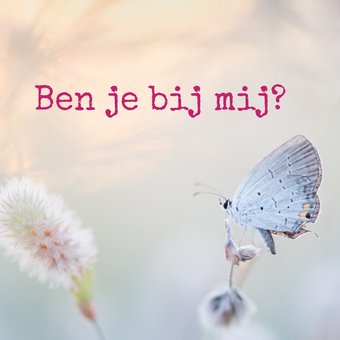 Ben je bij mij? Ben je bij mij?
