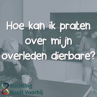 Hoe kan ik praten over mijn overleden dierbare Hoe kan ik praten over mijn overleden dierbare