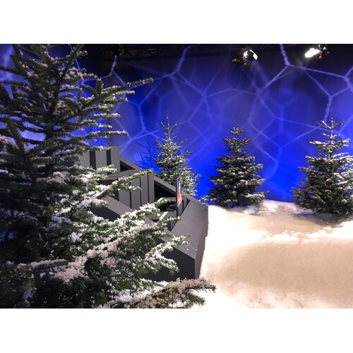 Versier je kerstboom dit jaar met iets anders ... SNEEUW! Versier je kerstboom dit jaar met iets anders ... SNEEUW!