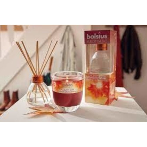 Bolsius Bolsius reed diffuser - Autumn Walk - 45ml