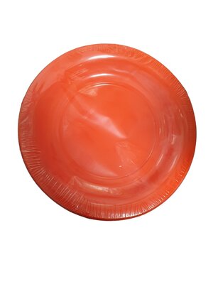 Bord Rond wegwerp Rood 23cm 6 st