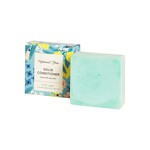 Solid Conditioner bar - normal to oily hair