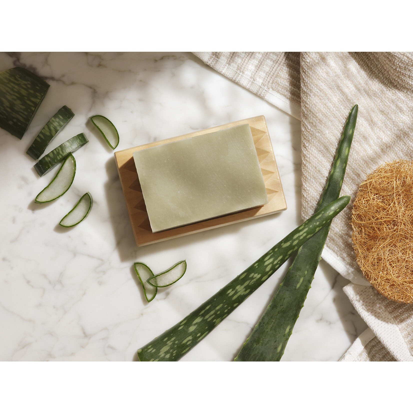 Aloe vera body and shampoo bar
