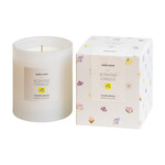 Scented candle - Wild Mint - white