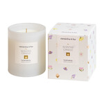 Scented candle - Clementine & Fizz - small