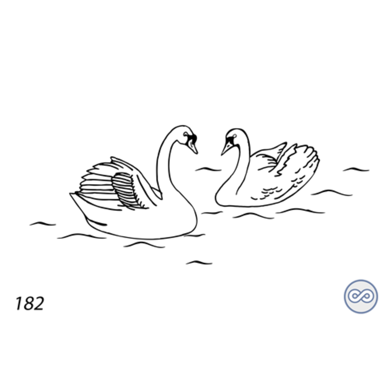 Grafsteenwinkel Afbeelding van twee zwanen op grafsteen