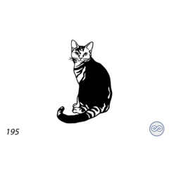 Grafsteenwinkel Afbeelding van een kat