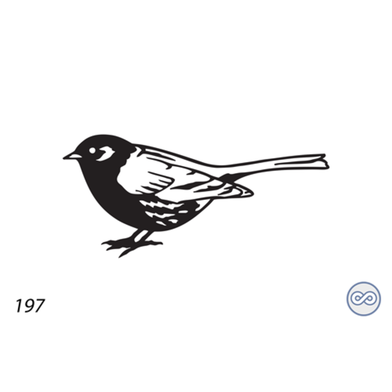 Grafsteenwinkel Afbeelding van een roodborstje