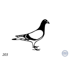 Grafsteenwinkel Afbeelding van een duif