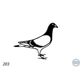 Grafsteenwinkel Afbeelding duif