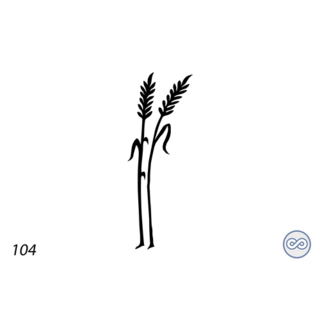 Grafsteenwinkel Afbeelding twee korenaren los