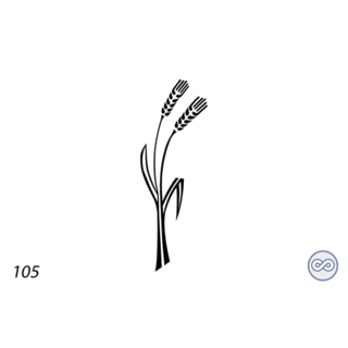 Grafsteenwinkel Afbeelding twee korenaren