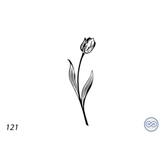 Grafsteenwinkel Afbeelding enkele tulp