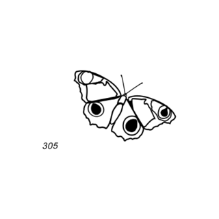 Grafsteenwinkel Afbeelding dagpauwoog
