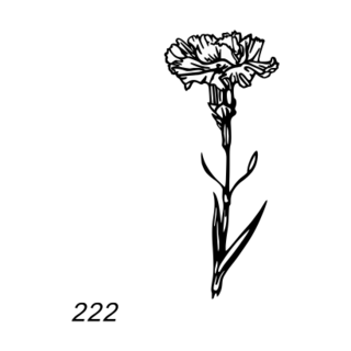 Grafsteenwinkel Afbeelding enkele anjer