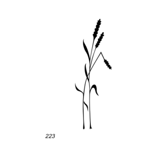 Grafsteenwinkel Afbeelding gebroken are