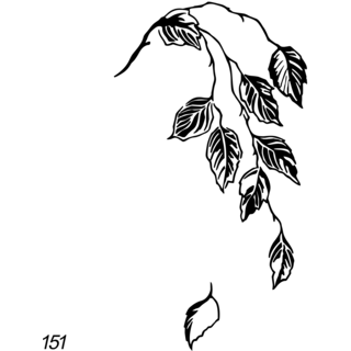 Grafsteenwinkel Hangende tak