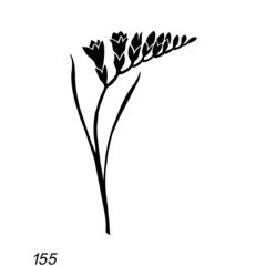 Grafsteenwinkel Afbeelding Freesia voor op grafsteen