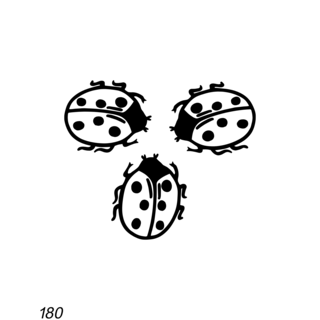 Grafsteenwinkel Lieveheersbeestje