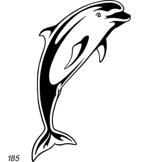 Grafsteenwinkel Dolfijn