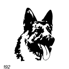 Grafsteenwinkel Afbeelding Herders hond voor op grafsteen