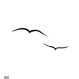 Grafsteenwinkel Vogels