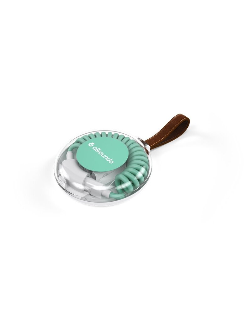 Allroundo all-in-one charging cable Mint Green