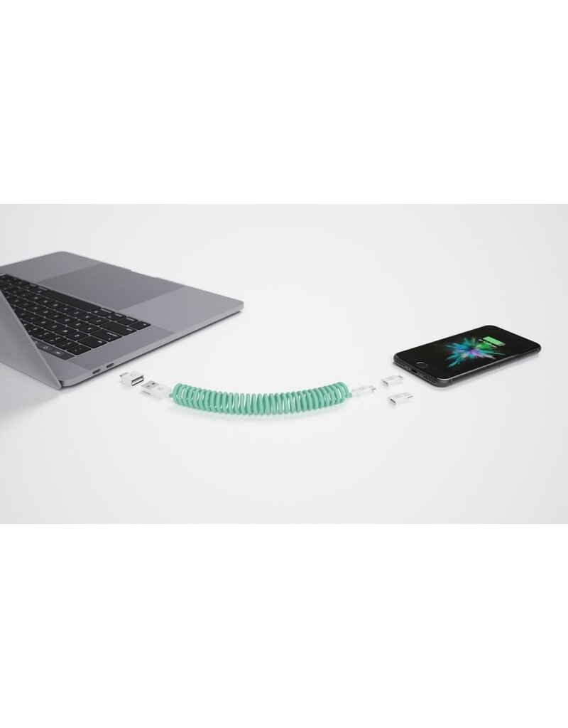 Allroundo all-in-one charging cable Mint Green