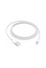 Apple Lightning to USB Cable