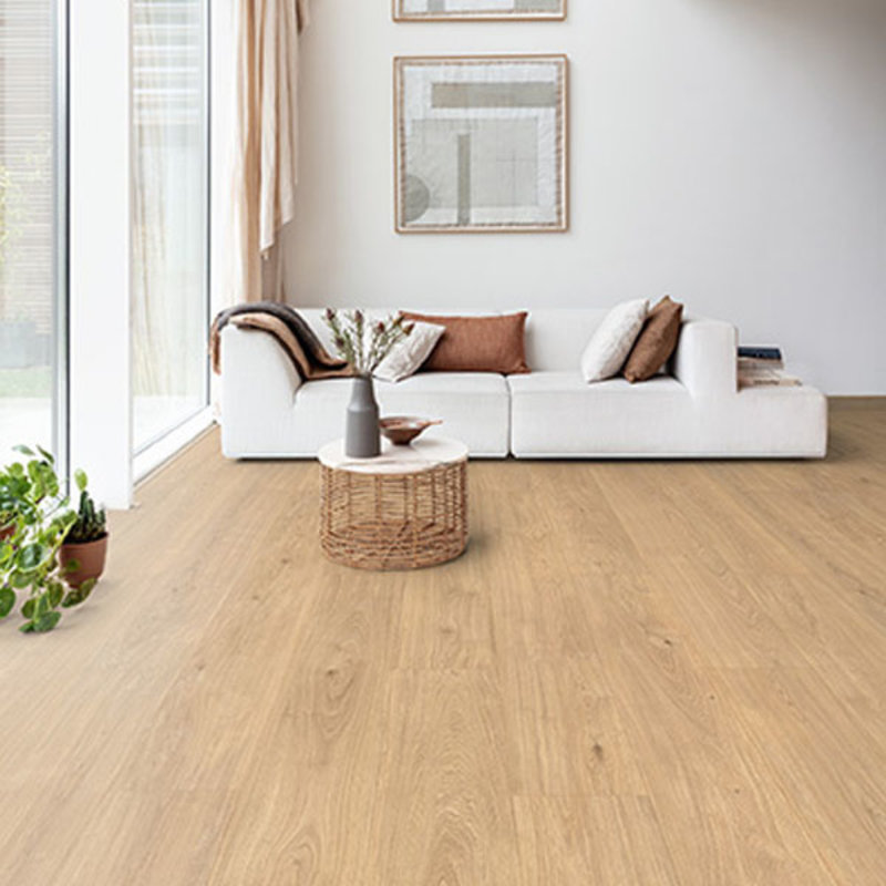 Click XL Planken lle de Re F096