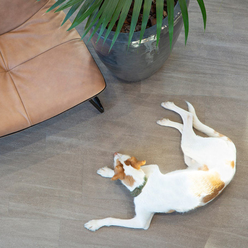 Click Elements 1608A