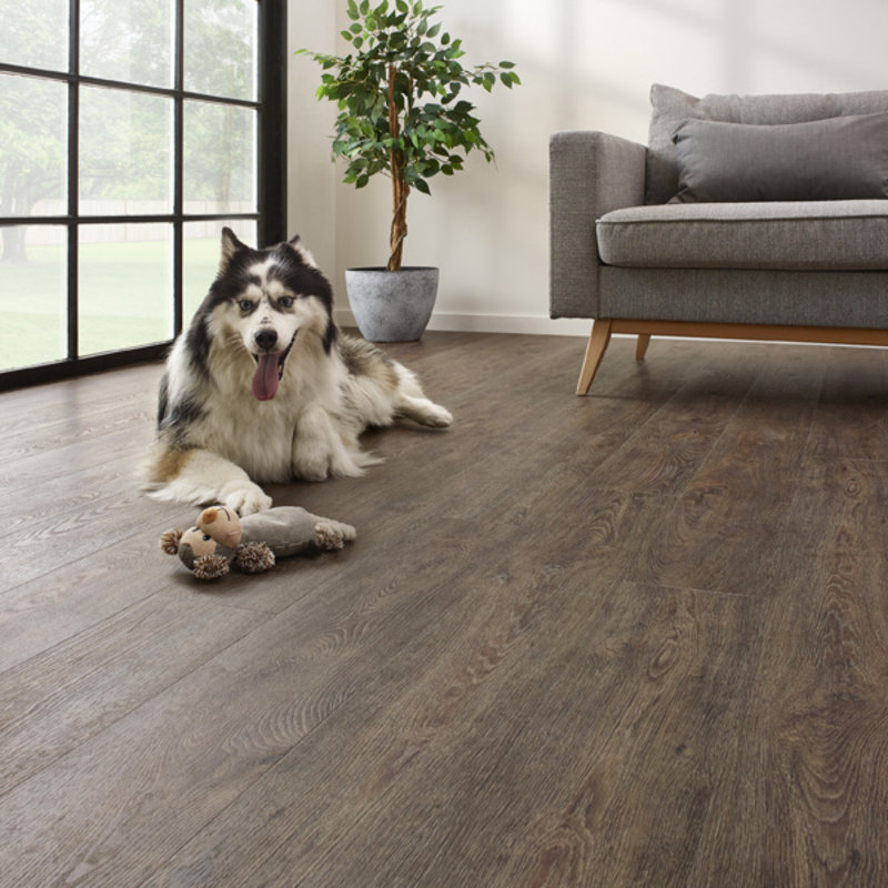 Click Essentials 1500 Jasper Oak 01 50 LVR 9601
