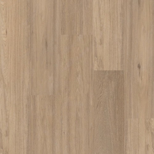 Therdex Click Regular Serie C3020