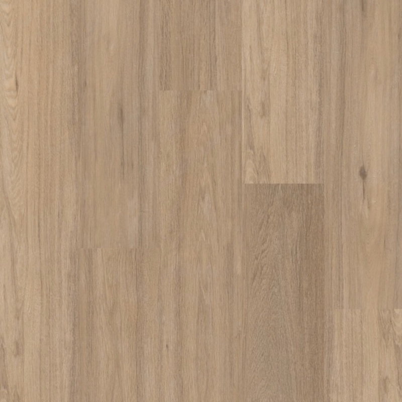 Click Regular Serie C3020