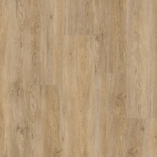 Therdex Click Tapis Serie C4070